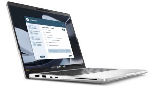 Dell Pro 14 Plus/PB14255/R5-220/14"/WUXGA/16GB/512GB/AMD int/W11P/Silver/3R NBD